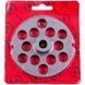 Решітка для м&aposясорубки Lame Italia 100355 16mm D=100mm (з центром та двома пазами) Enterpise 32 (PF3216CM)